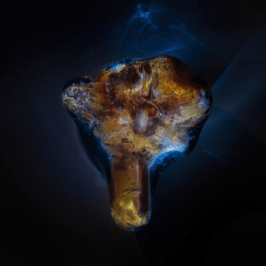 Website Images